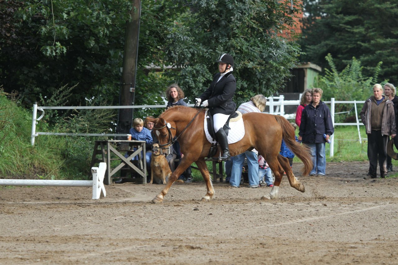 Bild 111 - WBO-Turnier am 18.9.11
